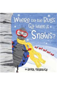 Where Do the Bugs Go When it Snows?