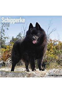 Schipperke Calendar 2018