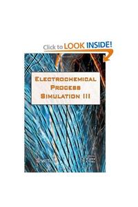 Simulation of Electrochemical Processes