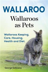 Wallaroo. Wallaroos as pets. Wallaroos Keeping, Care, Housing, Health and Diet.