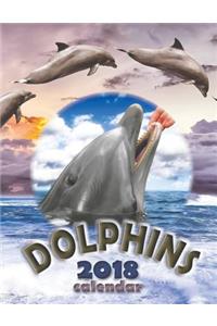 Dolphins 2018 Calendar (UK Edition)