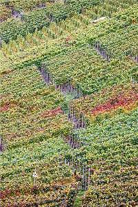 Aerial View of a Vineyard in Napa Valley, California Journal