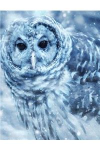 Owl Notebook
