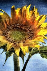 Sunflower Grunge - Blank Notebook