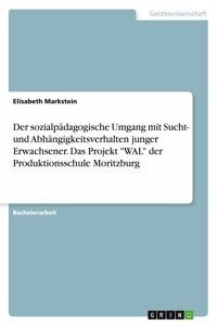Der sozialpädagogische Umgang mit Sucht- und Abhängigkeitsverhalten junger Erwachsener. Das Projekt 