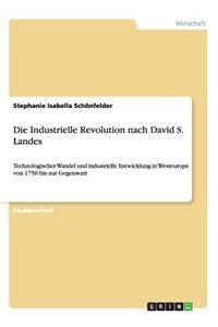 Die Industrielle Revolution nach David S. Landes
