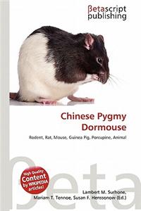 Chinese Pygmy Dormouse