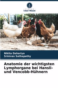 Anatomie der wichtigsten Lymphorgane bei Hansli- und Vencobb-Hühnern