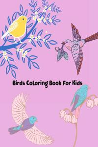 Birds Coloring Book For Kids