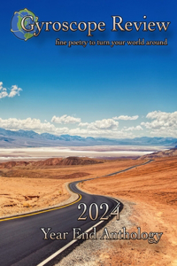 Gyroscope Review 2024 Year End Anthology