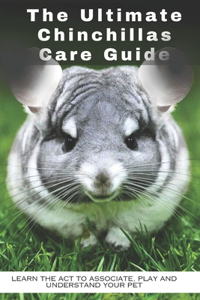 The Ultimate Chinchillas Care Guide