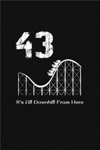 43rd Birthday It's All Downhill From Here