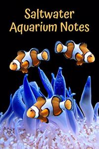 Saltwater Aquarium Notes