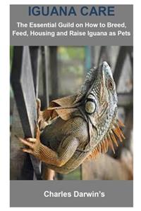 Iguana Care