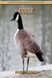 Goose