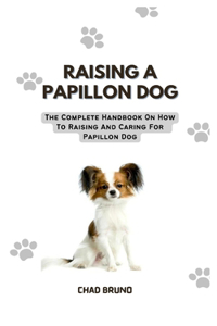 Raising a Papillon Dog