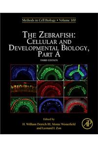 Zebrafish: Cellular and Developmental Biology, Part a