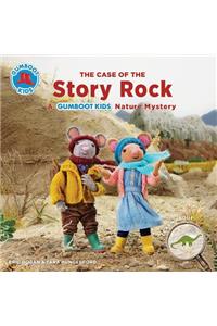 Case of the Story Rock