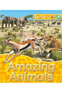 Explorers: Amazing Animals