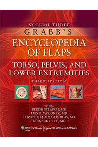 Grabb's Encyclopedia of Flaps