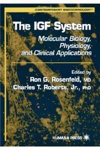 Igf System