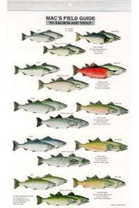 Mac's Field Guides: North American Salmon & Trout