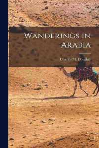Wanderings in Arabia