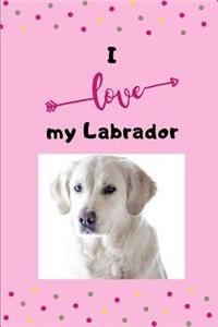 I love my Labrador