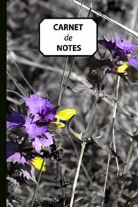 Carnet de Notes