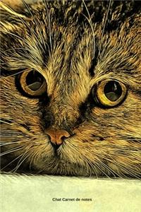 Chat Carnet de notes
