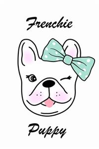 Frenchie Puppy