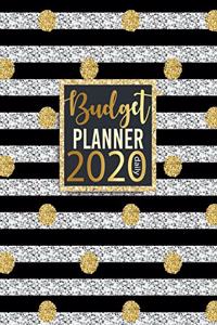 Budget Planner Daily 2020