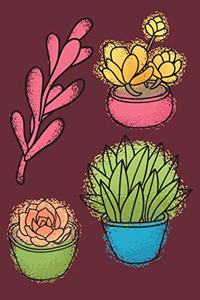 Succulents