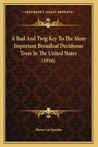 A Bud And Twig Key To The More Important Broadleaf Deciduous Trees In The United States (1916)