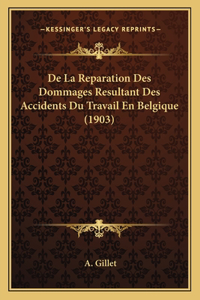 De La Reparation Des Dommages Resultant Des Accidents Du Travail En Belgique (1903)