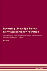 Reversing Linear Iga Bullous Dermatosis: Kidney Filtration The Raw Vegan Plant-Based Detoxification & Regeneration Workbook for Healing Patients. Volume 5
