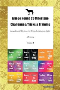 Ariege Hound 20 Milestone Challenges