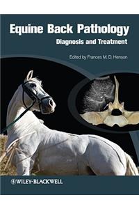 Equine Back Pathology - Diagnosis and Treatment