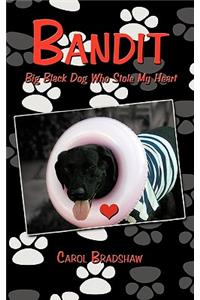 Bandit