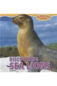 Discovering Sea Lions