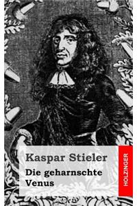 Die geharnschte Venus