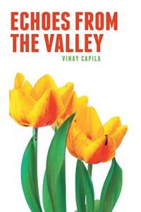 Echoes from the Valley