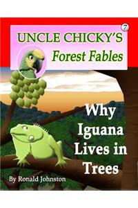 Why Iguana Lives in Trees
