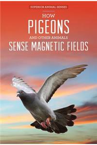 How Pigeons and Other Animals Sense Magnetic Fields