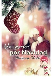 Un amor por Navidad