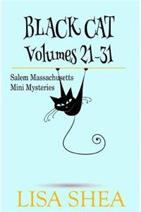 Black Cat Vols. 21-31 - The Salem Massachusetts Mini Mysteries