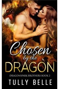 Chosen by the Dragon