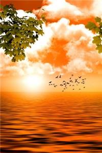 Birds On Water