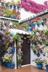 A Lovely Patio Brimming with Flower Pots on the Walls and the Flagstones Journal