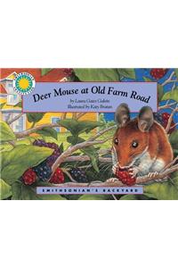 Deer Mouse at Old Farm Road